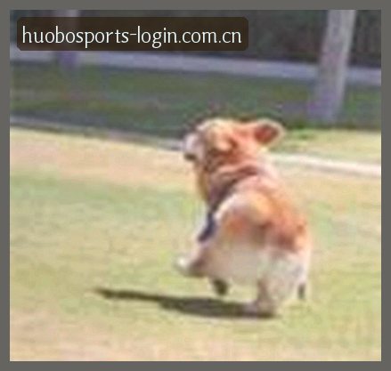 赵磊